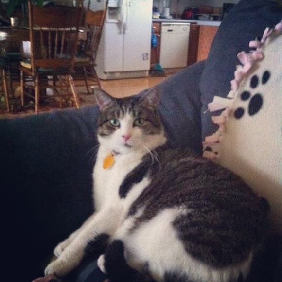 Meet your Posher, Colleen - Picture 7 of 7